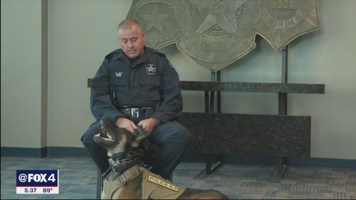 Dallas officers with Star of Texas Award
